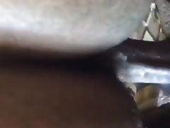 Black bbw has the best pussy