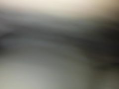 Do a bbw by toss n her a bone